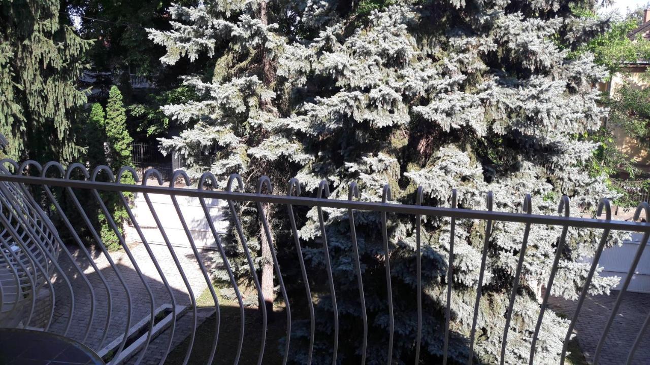 Pero Panzio Bed & Breakfast Debrecen Bagian luar foto